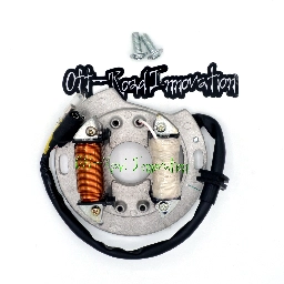 Ricky Stator Stator Assembly With Extras for Kawasaki Tecate-4 KXF250 1987-1988 (RS060T4K)